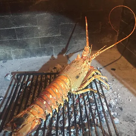 Apartamento Beautiful Sea View Zverinac