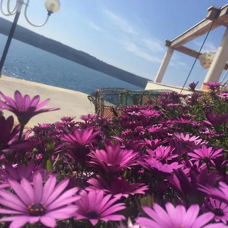 Beautiful Sea View Apartamento *